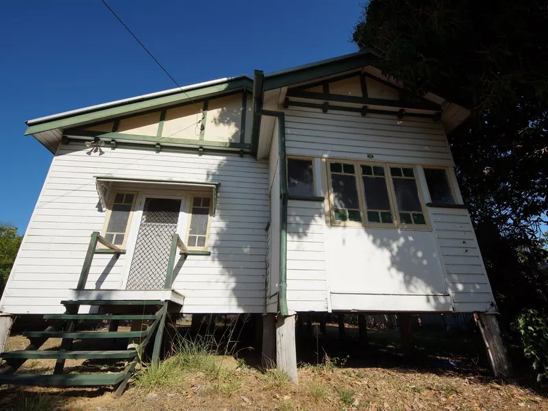 Renovators Delight