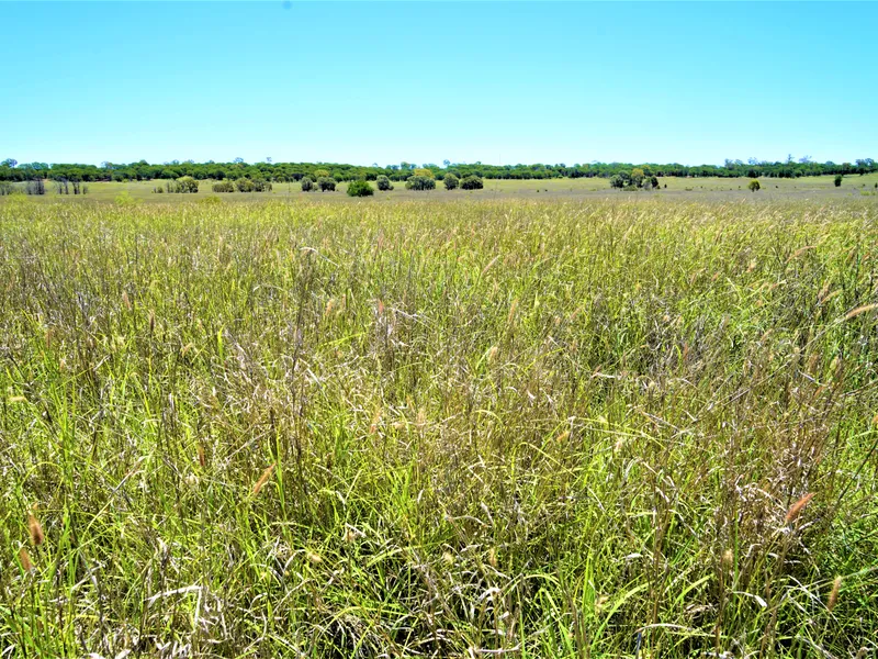 DEVELOPED CONDAMINE DISTRICT GRAZING ENTERPRISE