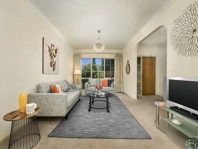 Outstanding elegant and available