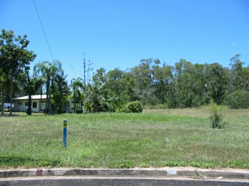 Build the shed you dream of!