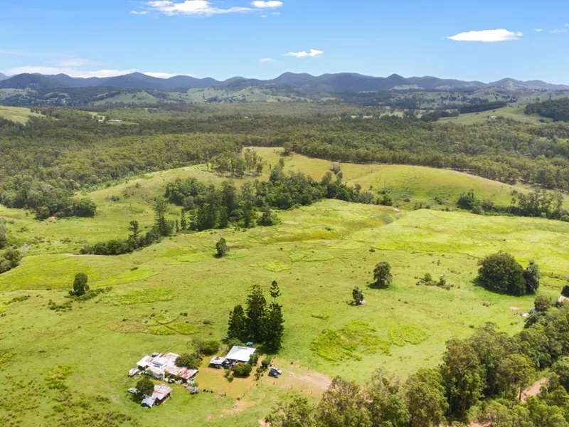 Lush 305.8 Acres with Incredible Potential!