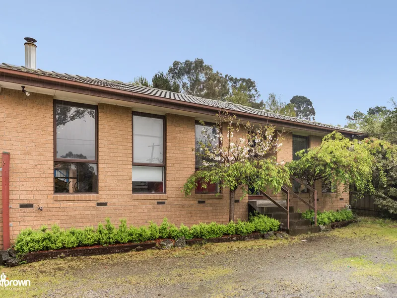 There's something here for everyone!