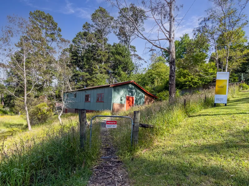 Development Potential in South Leura