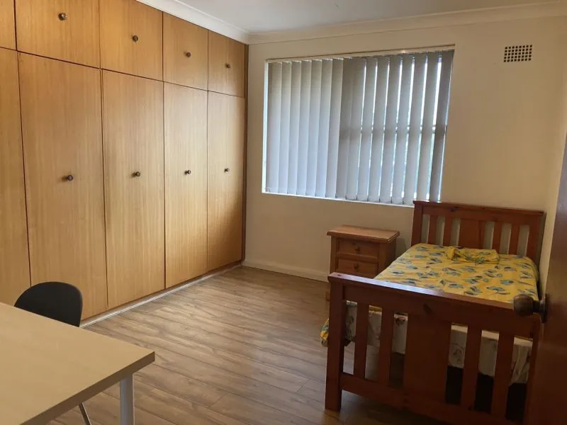 For Rent or Sale 2-3 rooms penthouse  with no common walls at door of UNSW