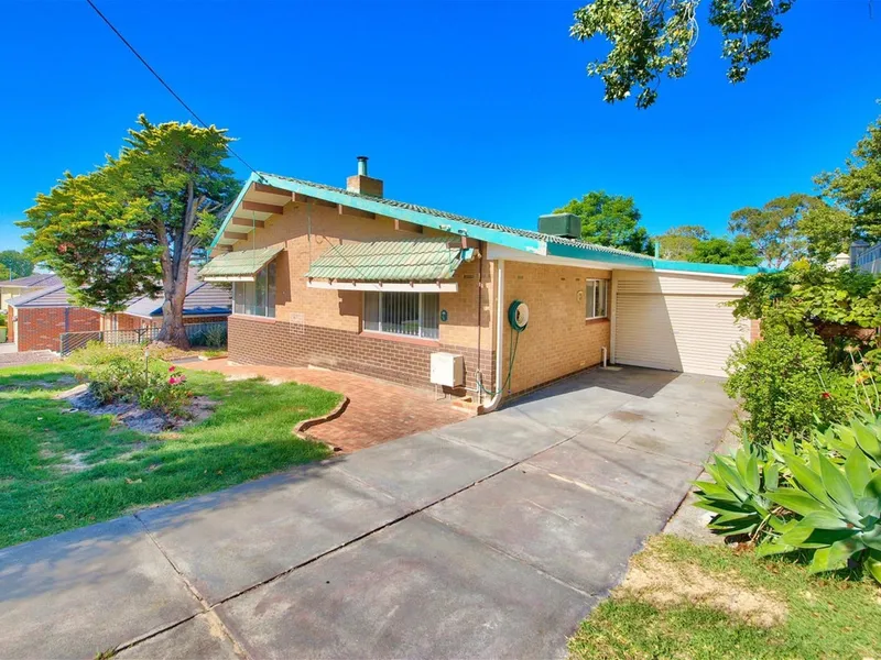 DASHING IN DIANELLA
