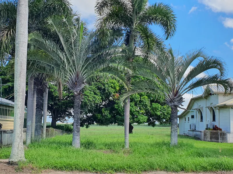 VACANT LAND FOR SALE…