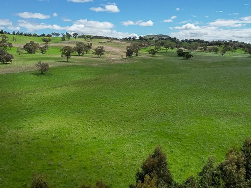 Mixed Farming and Landbank Opportunity