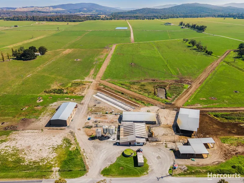 Outstanding Dairy Opportunity