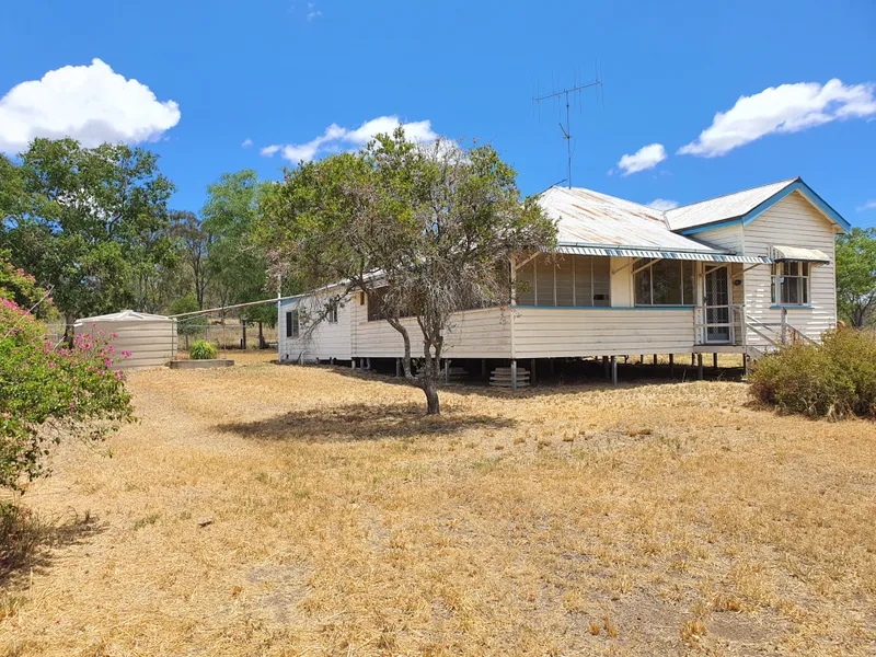 Room For Your Horses!