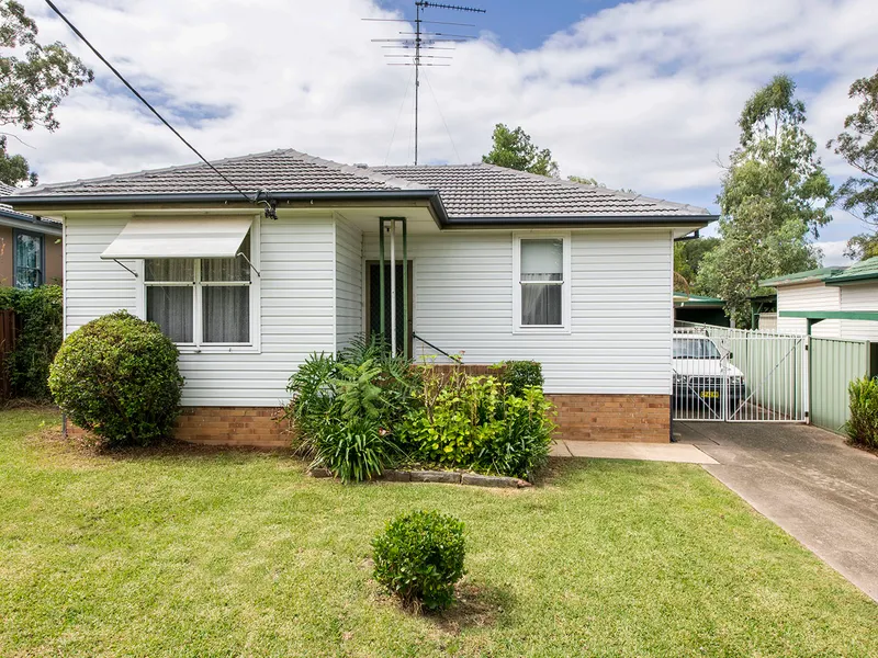 Let your inner spirit run wild