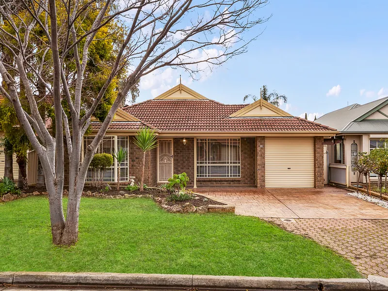 Fabulous Family Entertainer - Generous Garden Allotment