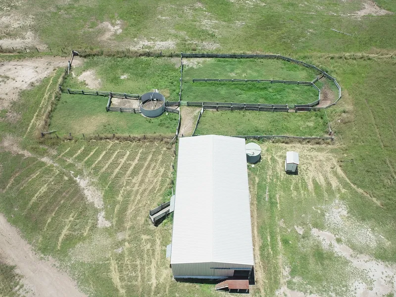 'Sound Grazing Operation'