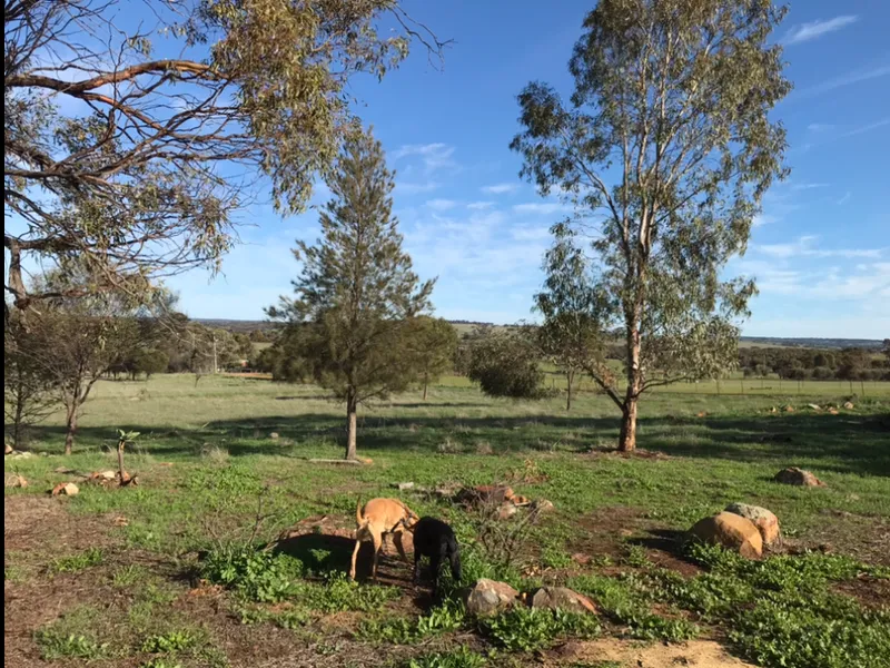 A Place In The Country