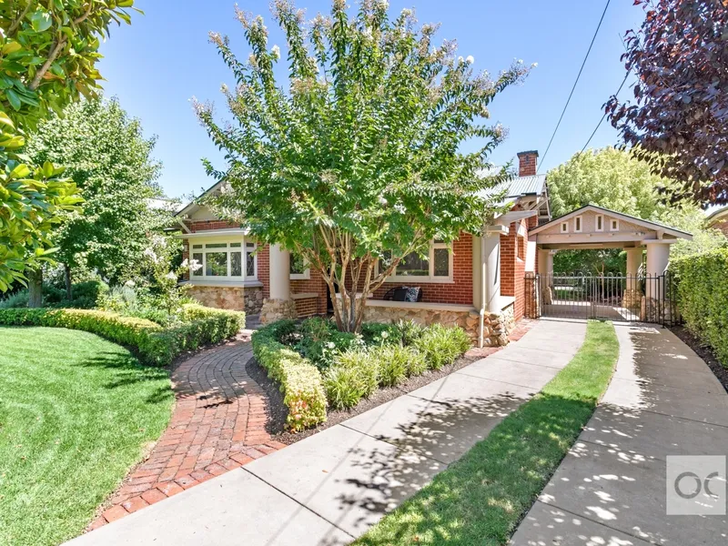 UNDER CONTRACT by Cynthia Sajkunovic