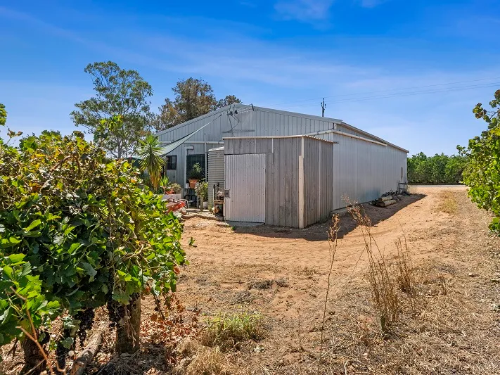 Income producing Vineyard with rental option