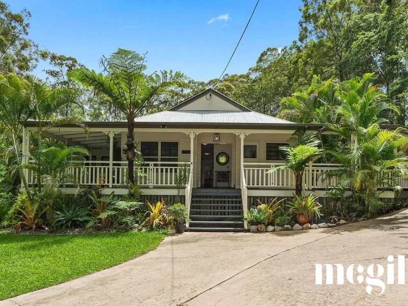 Executive Queenslander perched in the Rainforest