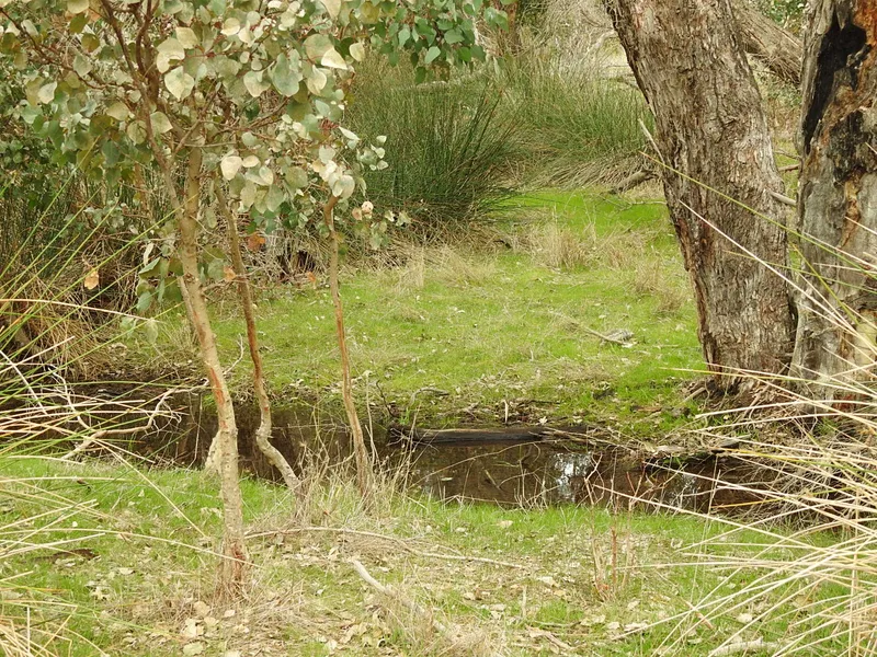 A Bit of Everything!