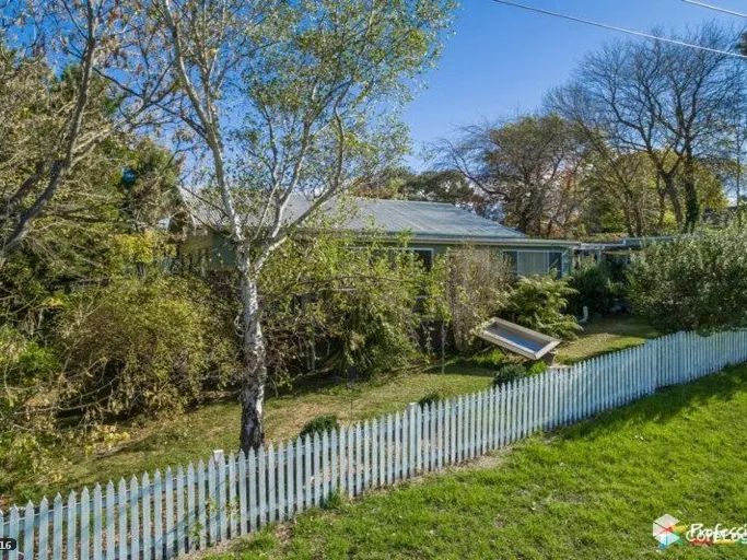 Peaceful & Private Character home