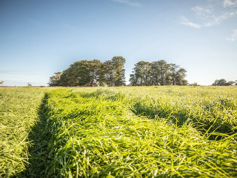 AUCTION - HIGHLY REGARDED CROPPING AND GRAZING LAND
