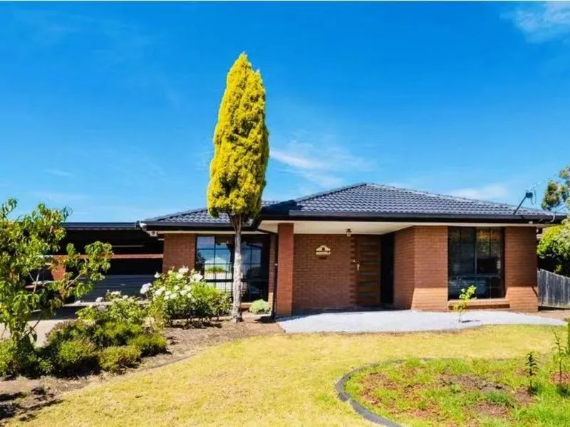 Renovated Family Home In Dream Location!