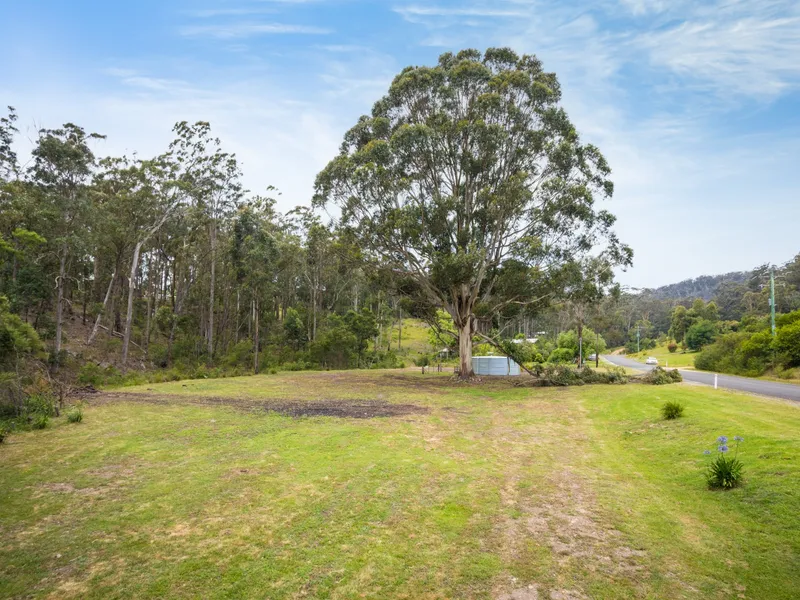 WALLAGOOT VACANT LAND 