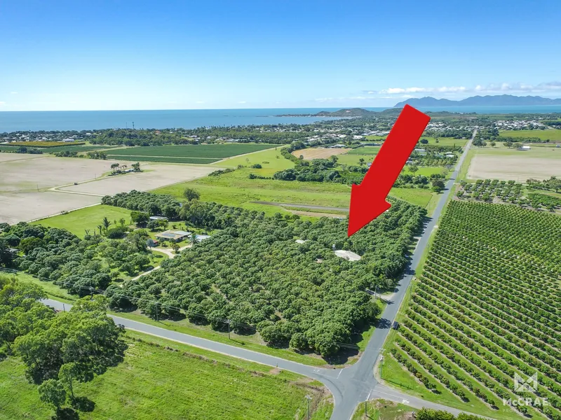 7.79 ACRES JUST MOMENTS FROM BEACH AND TOWN