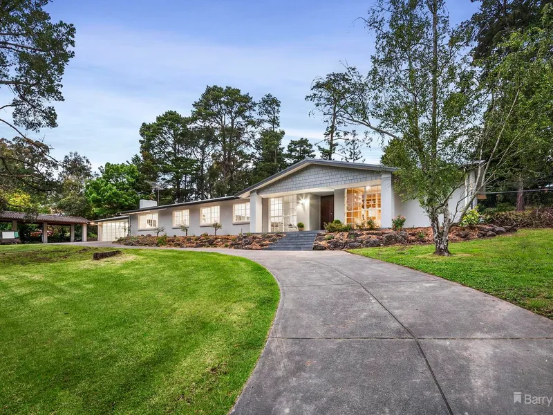 A Luxurious Light-Filled Sanctuary