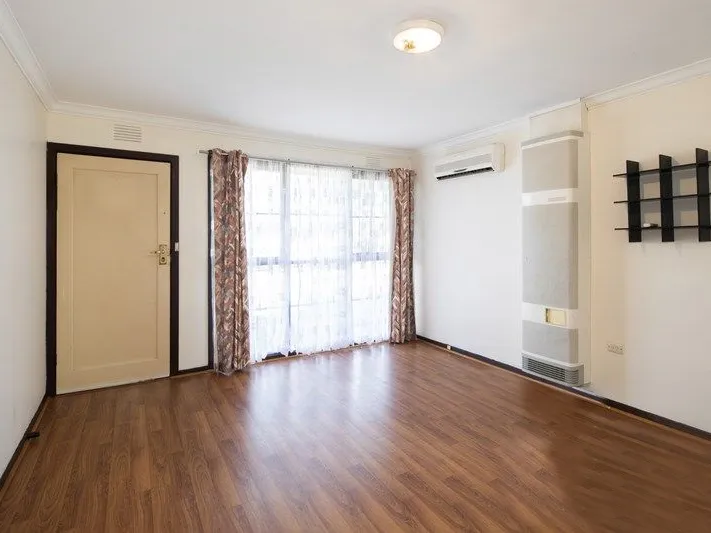 A Savvy Starter Raring to Renovate