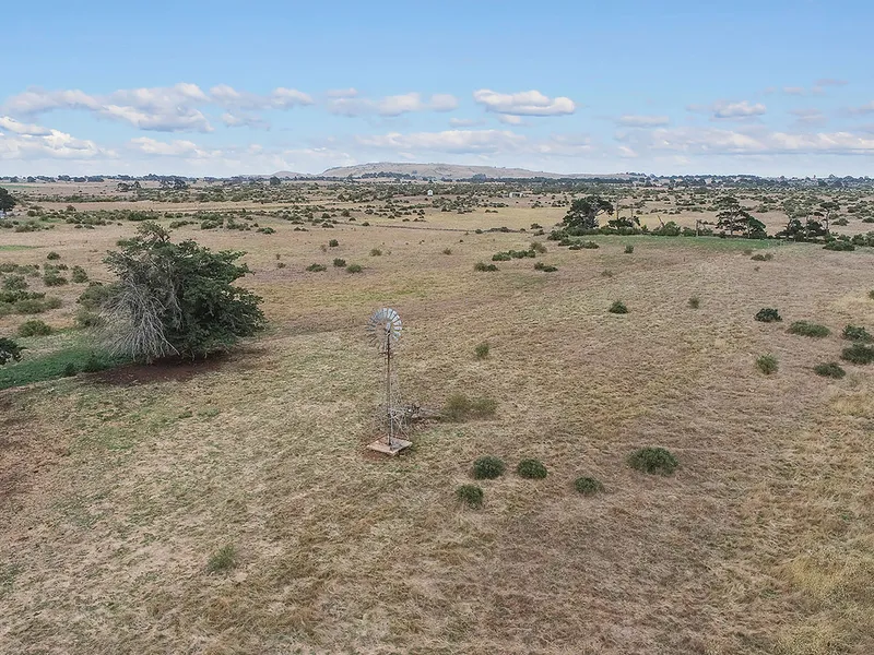 Healthy, Low Cost Grazing Country