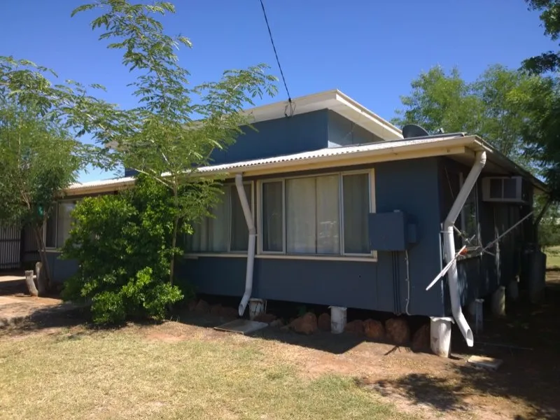 A WINNER FOR THE BEGINNER