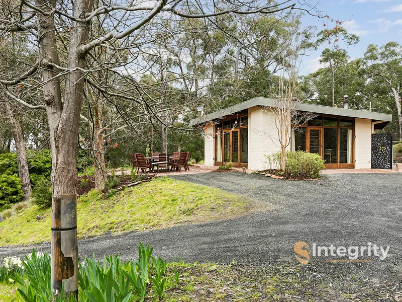 Classic Muddy Inspired by Alistair Knox