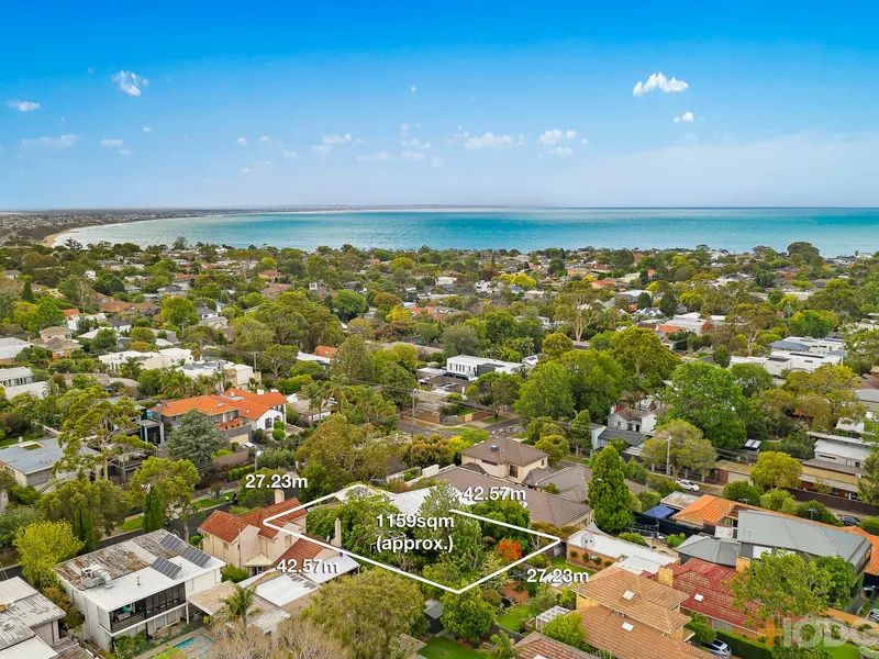 Once-in-a Lifetime Land & Potential