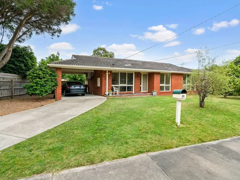 Great Family & Large Backyard