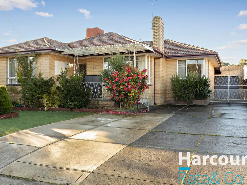 Absolute best location