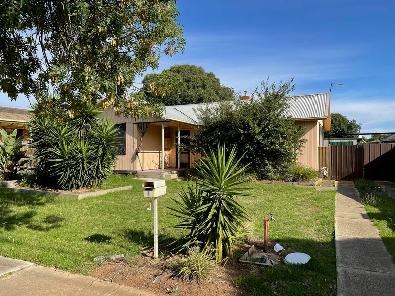 Freshly Painted & New Carpets