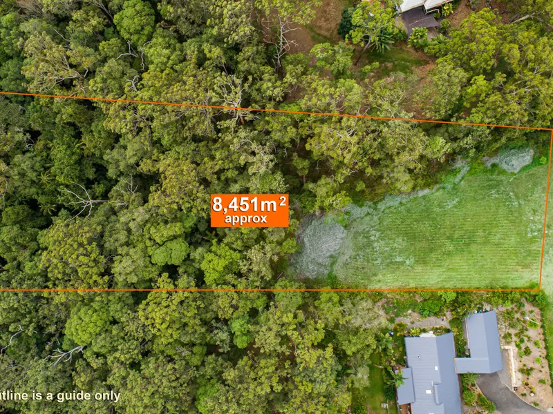 Home Among the Tall Gums