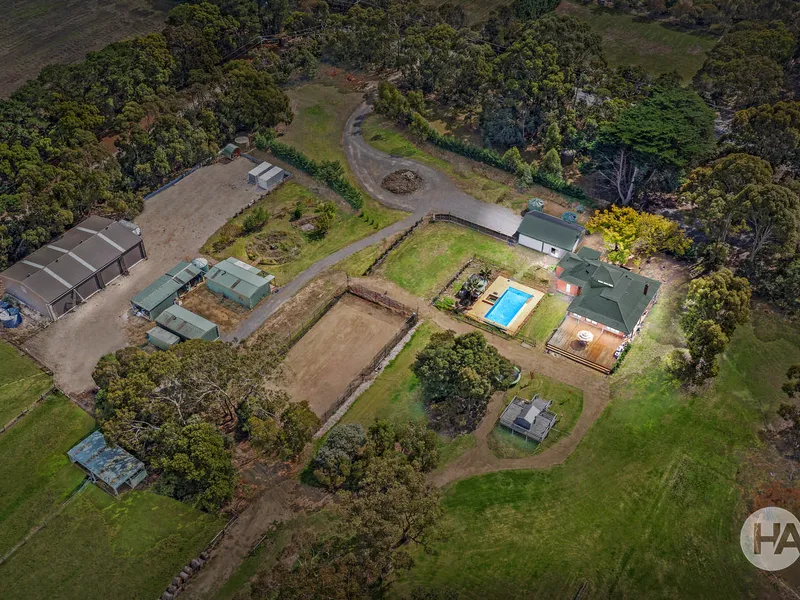 Business, Pleasure Or The Great Escape