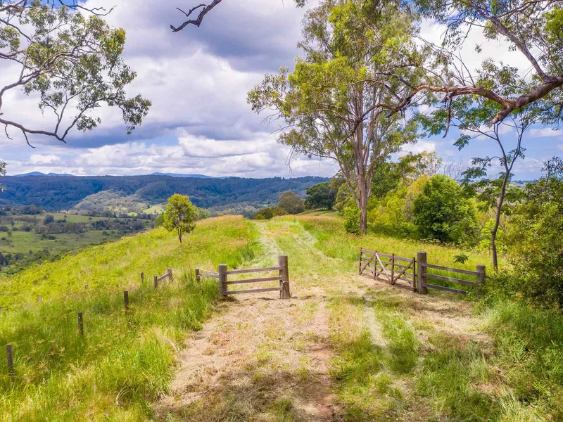 Escape to Your Own Private Oasis on 100 Acres of Lush Land in Jiggi!
