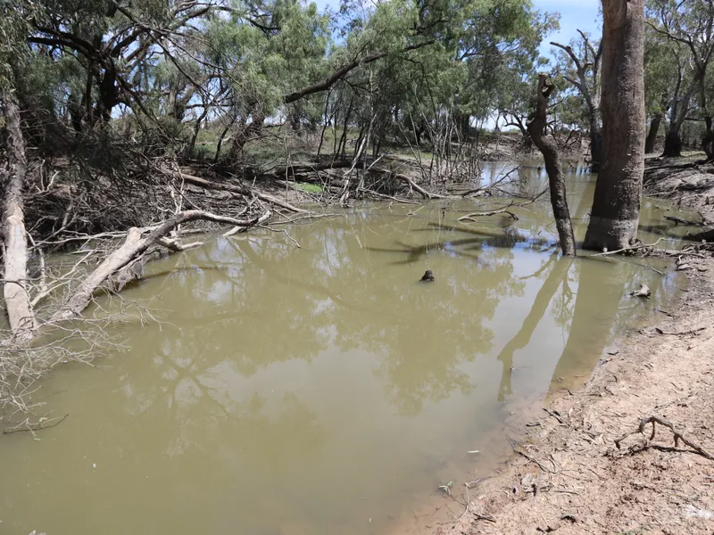 'Pine Grove' Condobolin NSW 1,920 acres