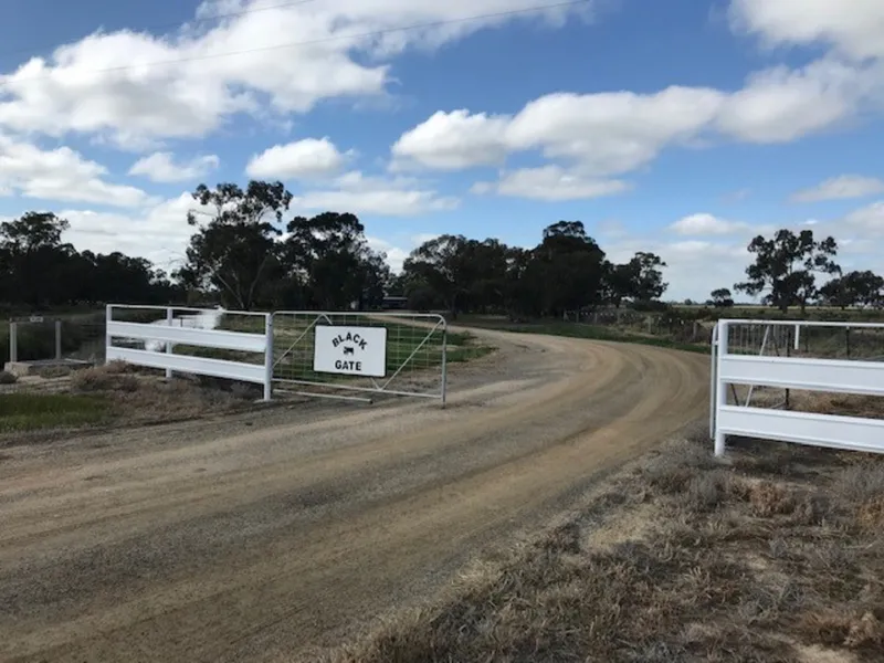 Home among the Box trees
