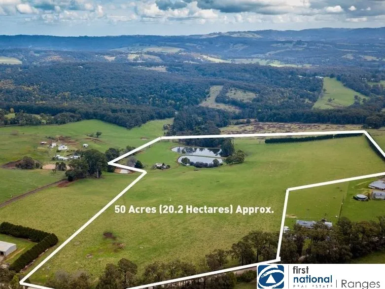 Amazing Views. Amazing Land. 50 acres. Plenty of Water.