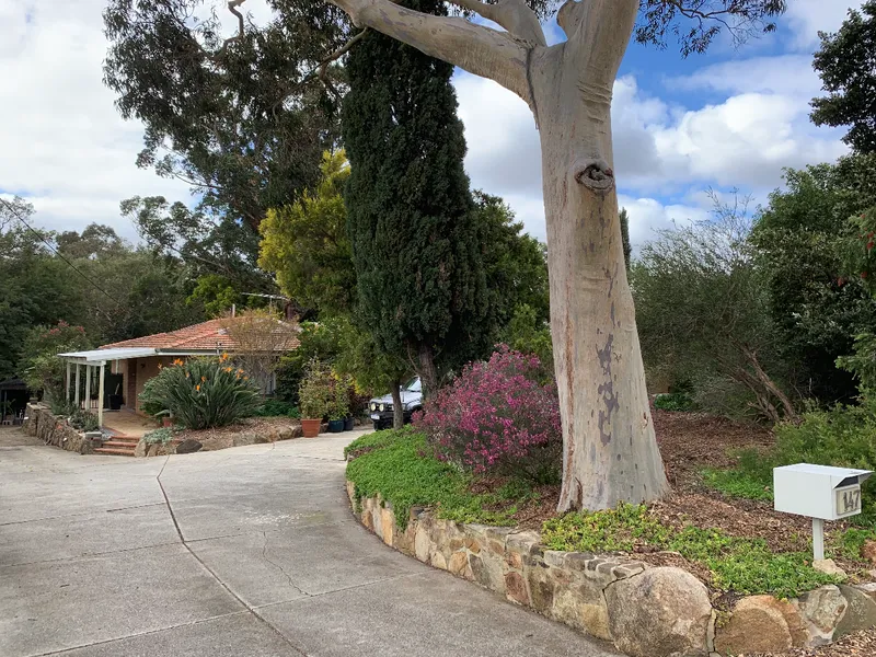 Plenty of Room for a Growing Family and Huge Potential for the Investor