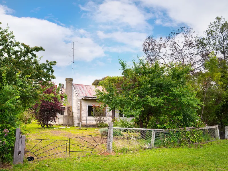 AFFORDABLE RENOVATION PROJECT - 1000m2 treed gardens on High Street