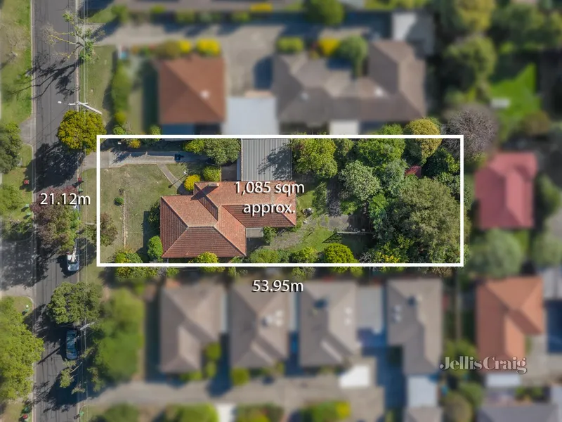 Scope and scale in triple school zone