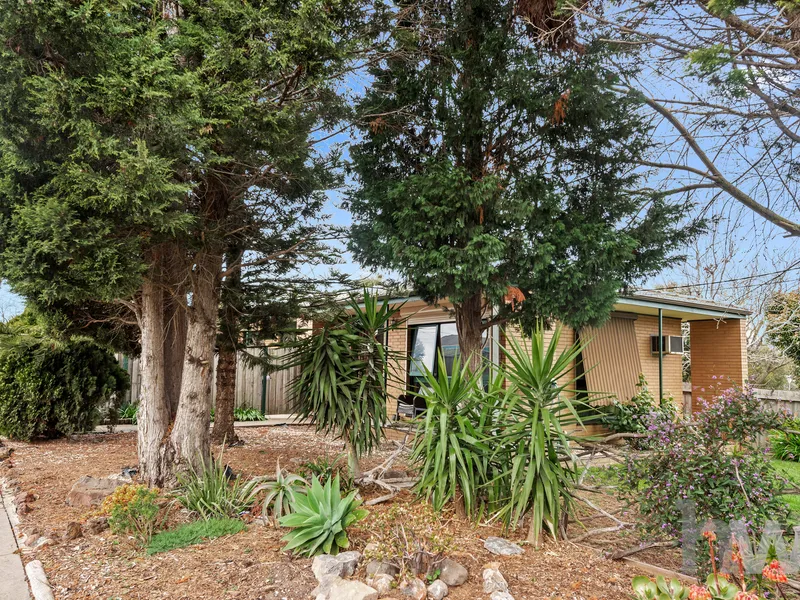 Opportunity Abounds on 647m2 (Approx.) Corner Block