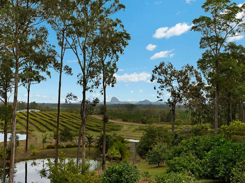 The Ultimate Tree Change