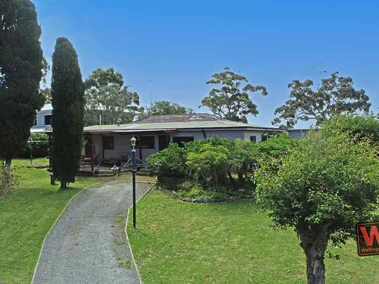 Peaceful Little Grove