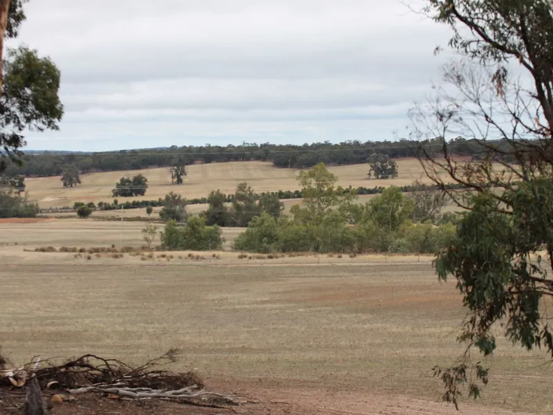 34 Acre rural lifestyle block 3.5ks from Narrogin town centre