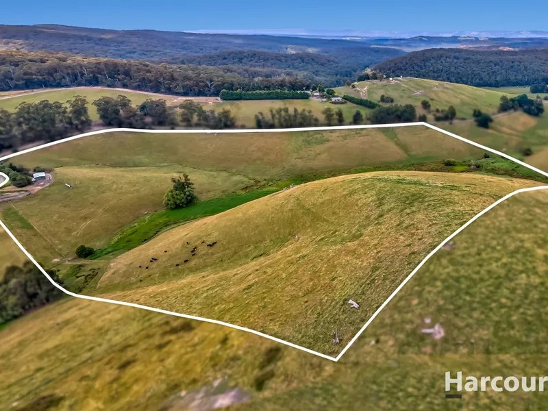 35 Picturesque Acres in 2 Titles