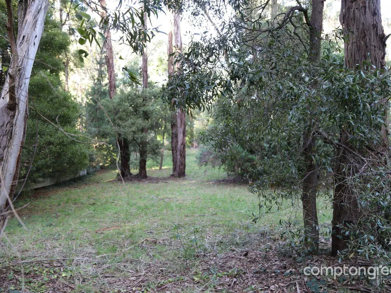 Expansive and affordable land, situated in a central regional town. 